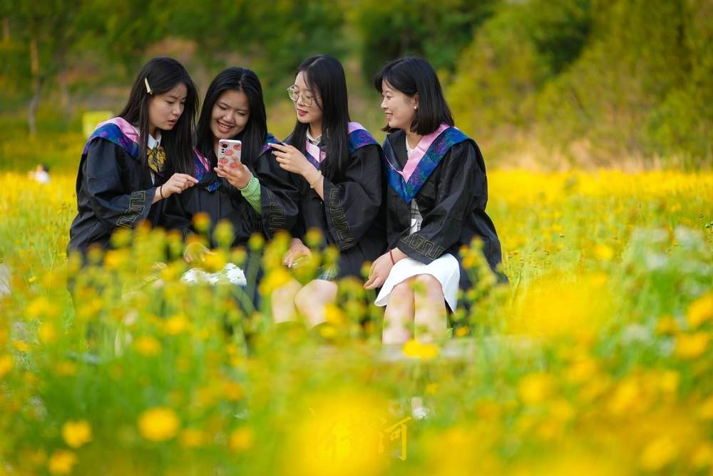 一年四季 泉在济南丨难忘大学时光，金鸡菊花海见证青春谢幕礼