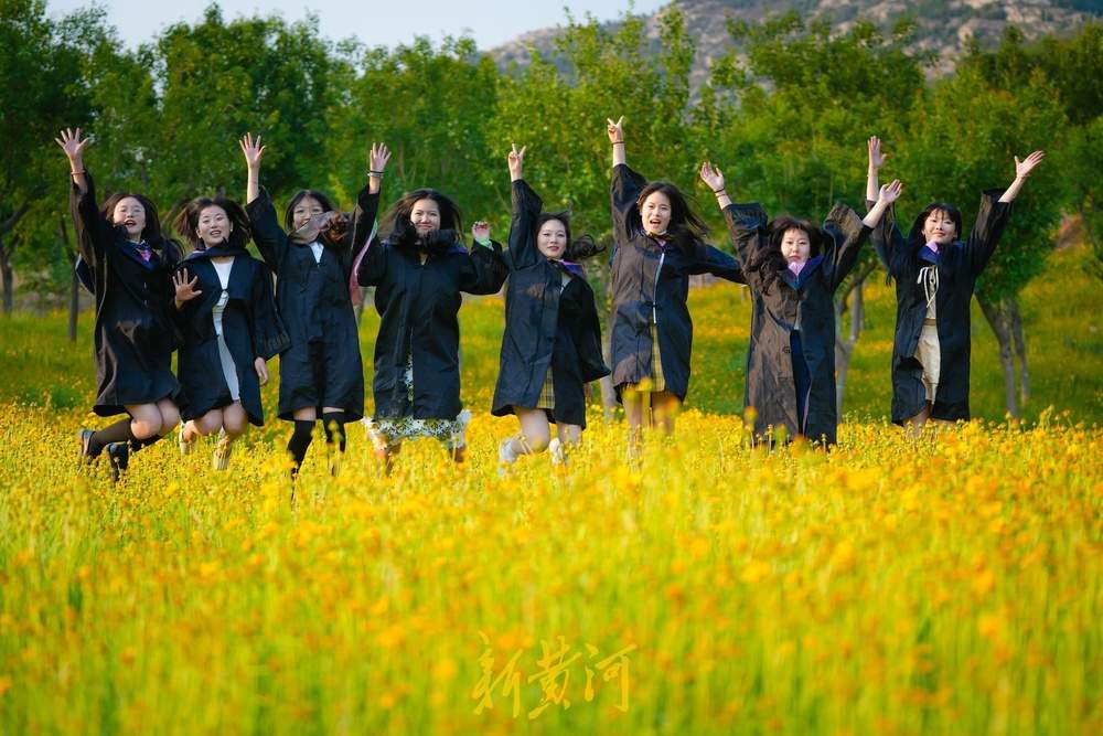 一年四季 泉在济南丨难忘大学时光，金鸡菊花海见证青春谢幕礼