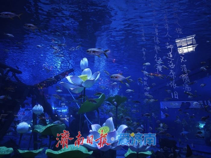 夏日经济新观察:消费热潮奔涌,民生底色愈浓