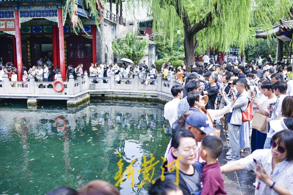 一年四季 泉在济南|炎炎夏日,来济南赴一场“泉水游”吧