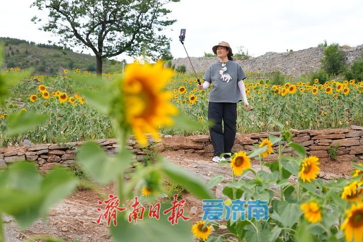 千年雄关花海盛放,古长城焕发新生机