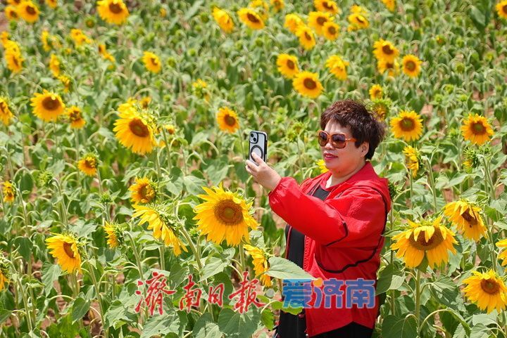 千年雄关花海盛放,古长城焕发新生机