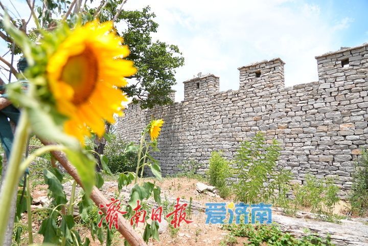 千年雄关花海盛放,古长城焕发新生机