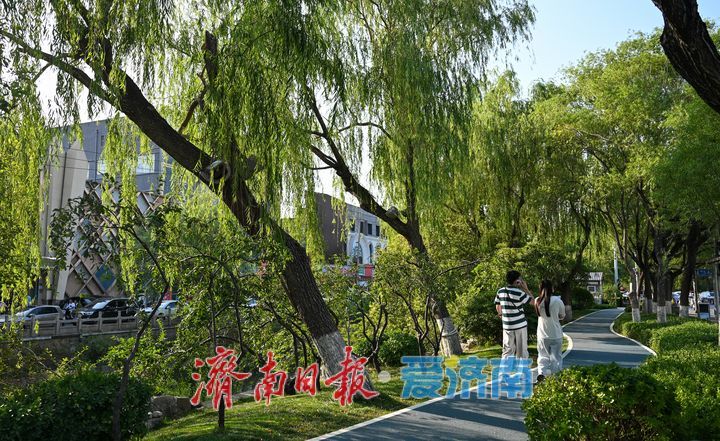 一年四季 泉在济南丨泉水绿道贯穿城区 市民尽享都市慢行