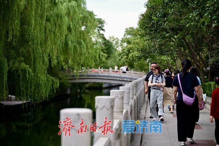 一年四季 泉在济南丨泉水绿道贯穿城区 市民尽享都市慢行
