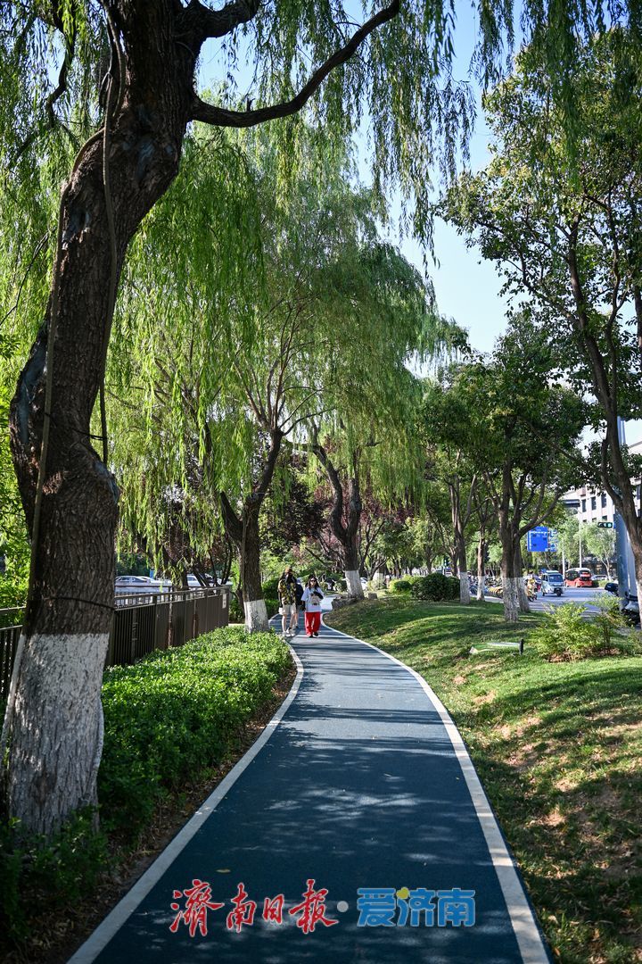一年四季 泉在济南丨泉水绿道贯穿城区 市民尽享都市慢行