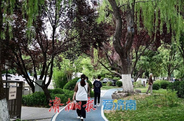 一年四季 泉在济南丨泉水绿道贯穿城区 市民尽享都市慢行