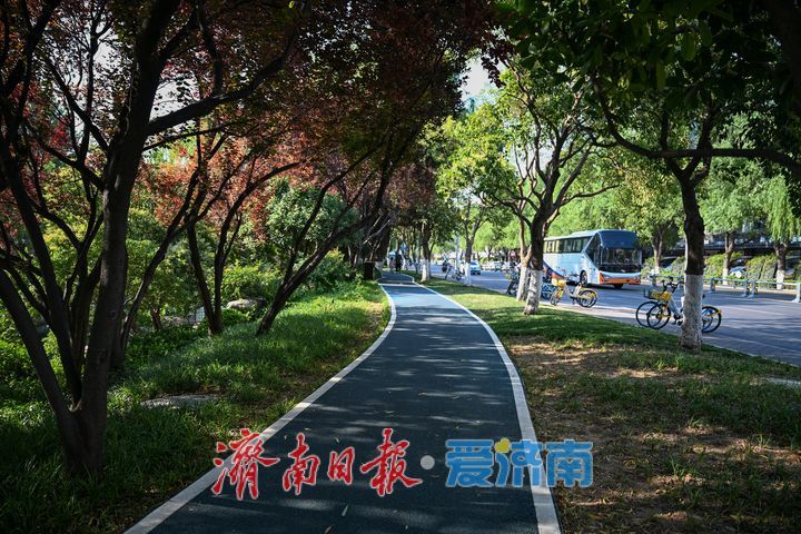 一年四季 泉在济南丨泉水绿道贯穿城区 市民尽享都市慢行