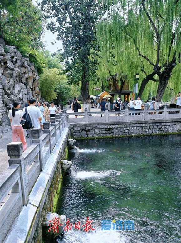 一年四季 泉在济南丨虎啸龙吟 雨后的黑虎泉欢畅喷涌劲头足