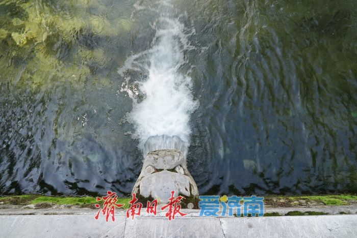 一年四季 泉在济南丨“千泉竞涌”引客来,济南迎最佳赏泉季