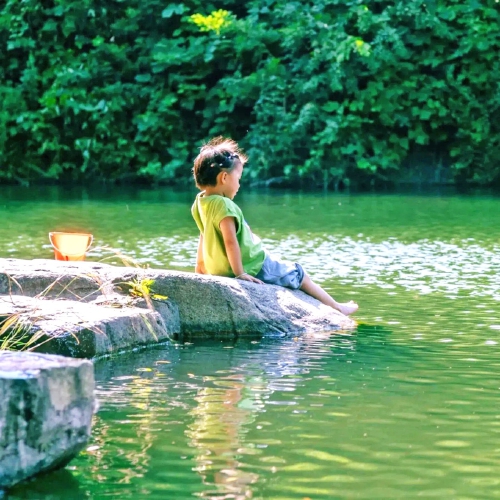 济南之夏：当千年诗意邂逅一城清凉