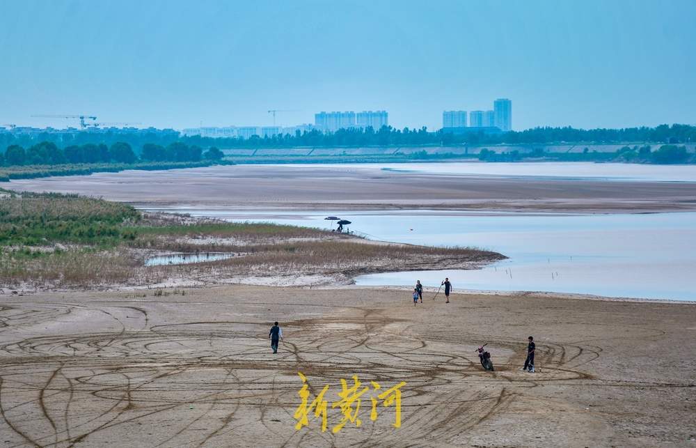 黄河济南段人造洪峰逐渐“退潮”,河滩露脸成纳凉好去处