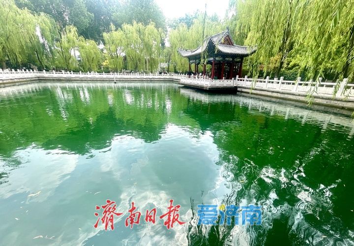 一年四季 泉在济南丨泉边夏日 戏水纳凉好景致