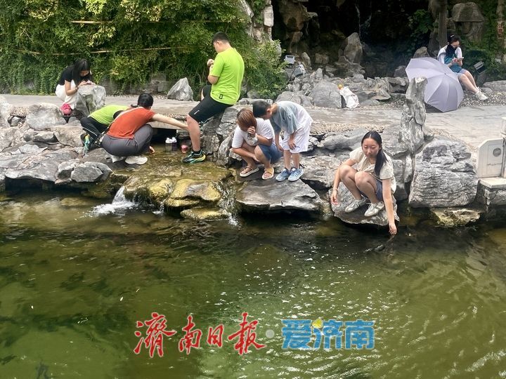 一年四季 泉在济南丨泉边夏日 戏水纳凉好景致