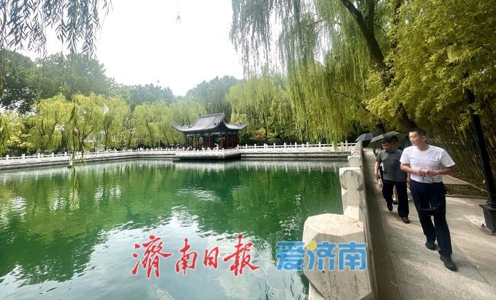 一年四季 泉在济南丨泉边夏日 戏水纳凉好景致