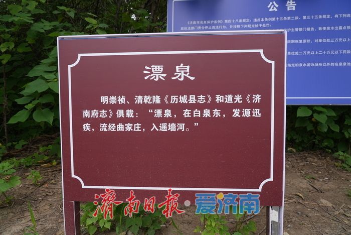 一年四季 泉在济南丨济南鲍山“漂泉”完成便民改造,古泉焕新迎客来