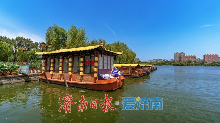 一年四季 泉在济南丨济南大明湖：夏日美景醉泉城 满眼画意纳清凉