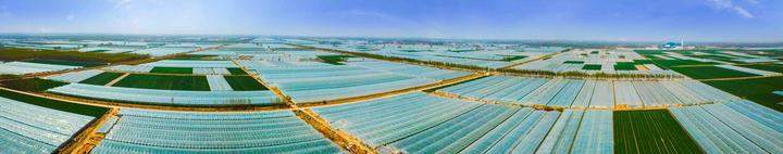 济南：加快富民产业发展 助力乡村全面振兴