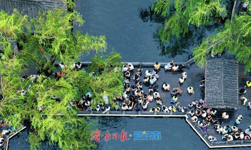 一年四季 泉在济南丨趵突泉雨后撒欢 漫步其中感受别样浪漫