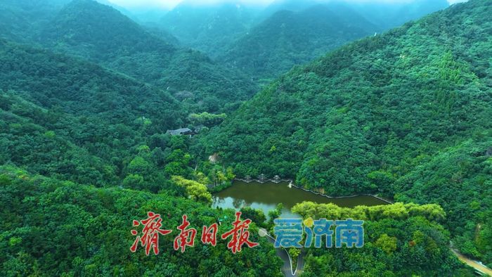 一年四季 泉在济南丨济南九如山雨后云海奇观：云雾缥缈宛若仙境