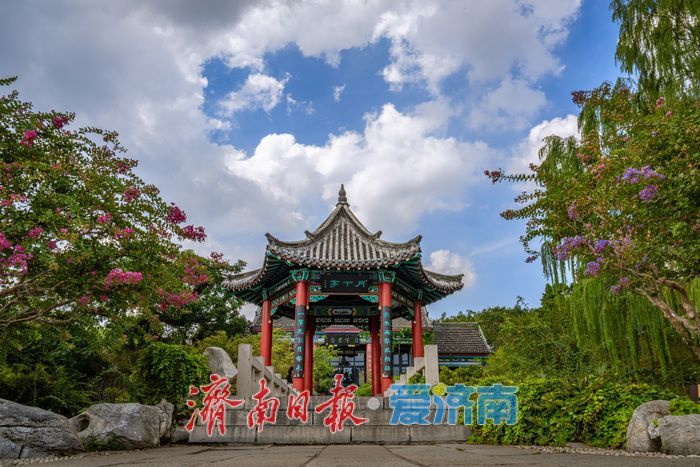 一年四季 泉在济南丨泉城消夏图鉴:大明湖成市民游客纳凉赏景“心头好”
