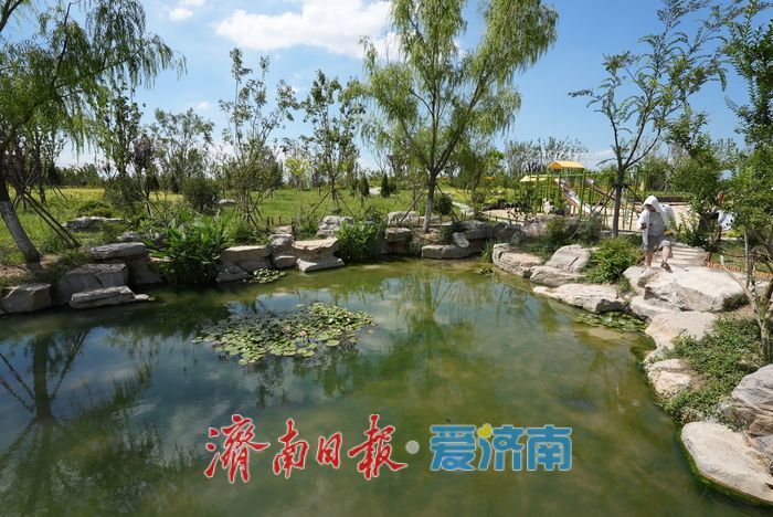 一年四季 泉在济南丨叮咚泉水映童趣,“泉涌白沙”醉游人