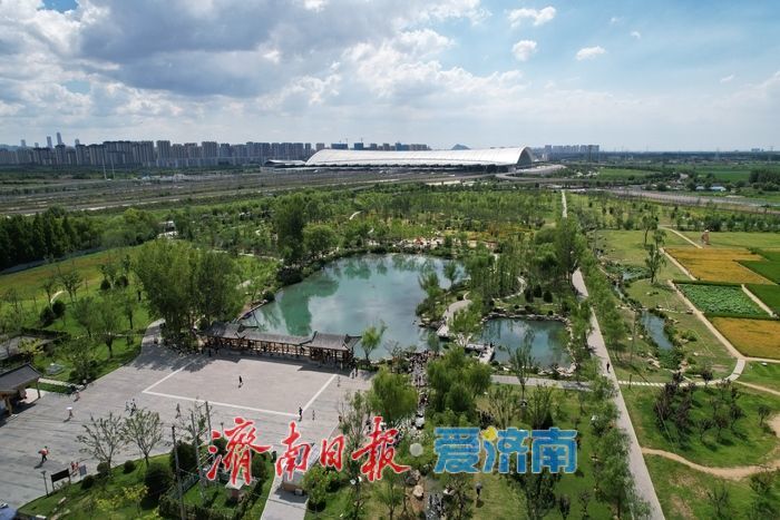 一年四季 泉在济南丨叮咚泉水映童趣,“泉涌白沙”醉游人