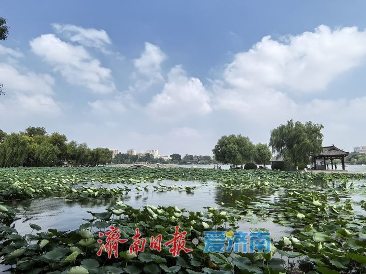 一年四季 泉在济南丨济南大明湖美如画，水天共色游船穿梭