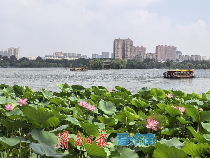 一年四季 泉在济南丨济南大明湖美如画，水天共色游船穿梭