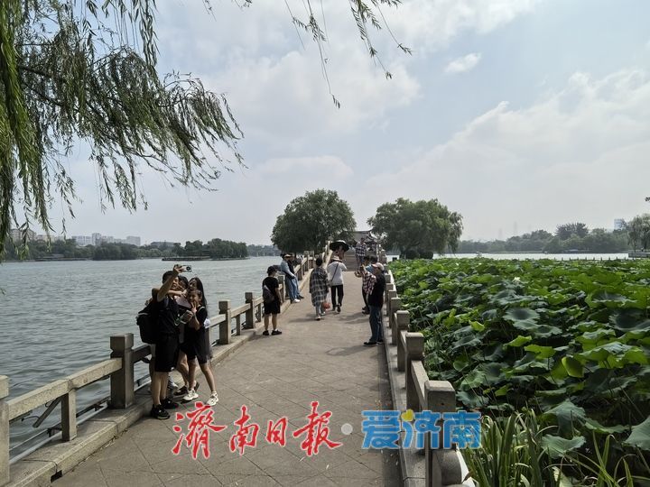 一年四季 泉在济南丨济南大明湖美如画，水天共色游船穿梭