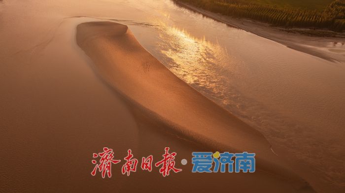 一年四季 泉在济南|济南百里黄河风景区,夏日金辉演绎黄河生态美景