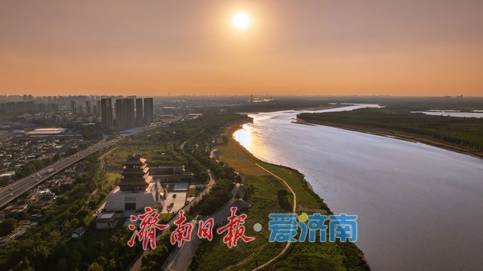 一年四季 泉在济南|济南百里黄河风景区,夏日金辉演绎黄河生态美景