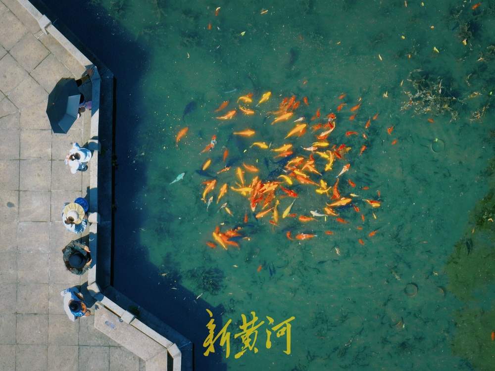 立秋日迎高温，济南暑期泉水游正当时