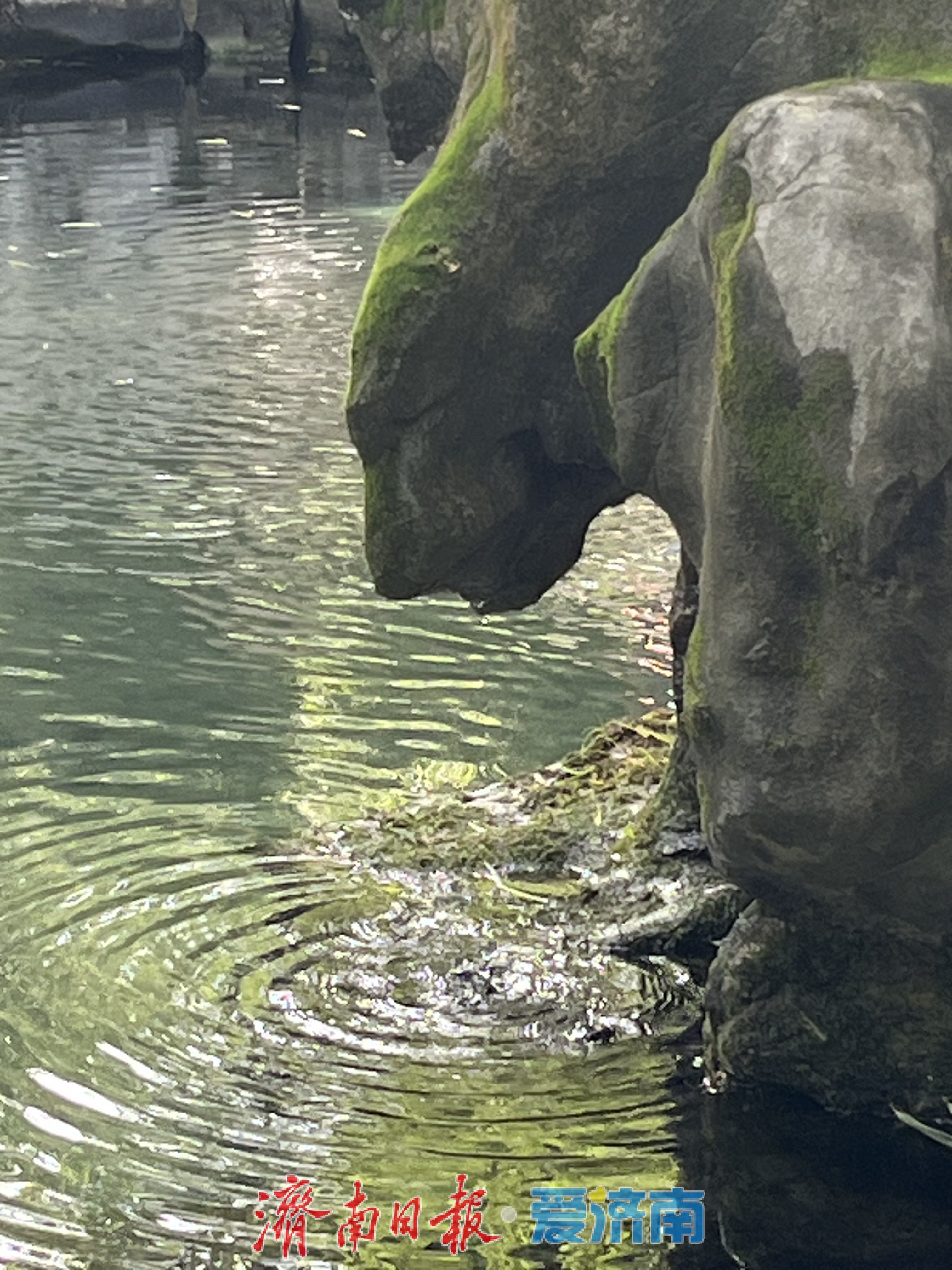 不只是美景!月牙泉“苏醒”,解锁济南的N重历史文化密码