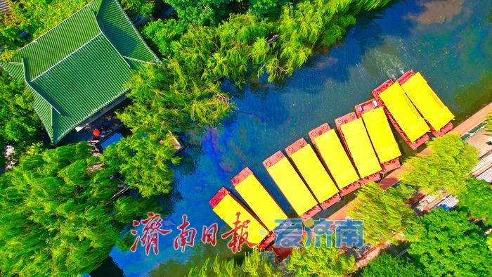 济南护城河水位显著上涨,迎来一年最佳观赏期