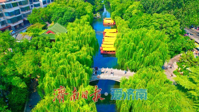 济南护城河水位显著上涨,迎来一年最佳观赏期