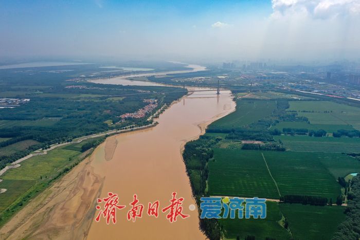 一年四季 泉在济南丨金色长廊映黄河，济南百里生态画卷徐徐展开