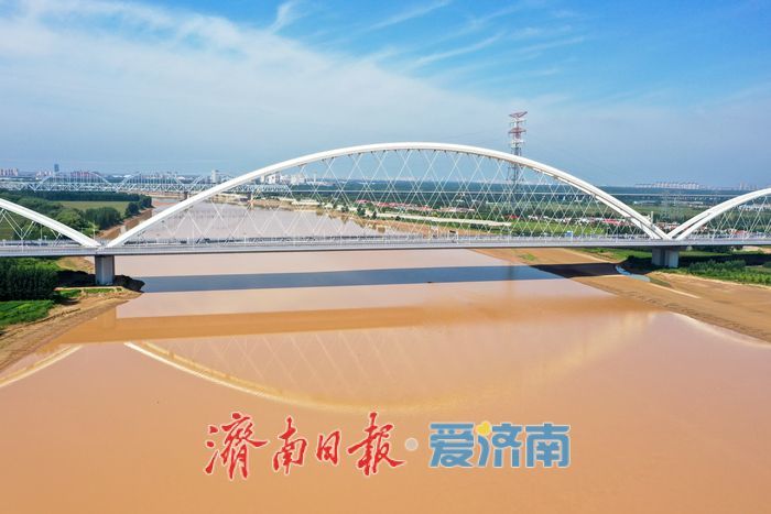 一年四季 泉在济南丨金色长廊映黄河，济南百里生态画卷徐徐展开