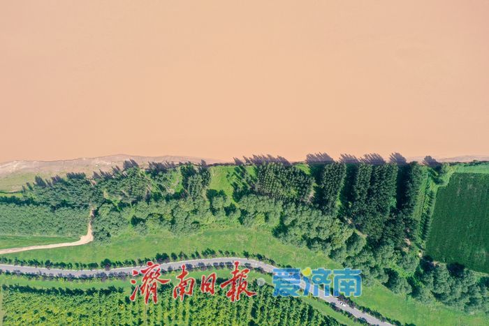 一年四季 泉在济南丨金色长廊映黄河，济南百里生态画卷徐徐展开