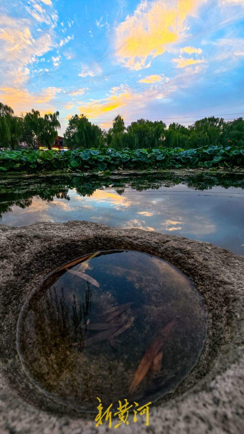 雨后凉爽天气上线,泉映夕阳洒金醉晚霞
