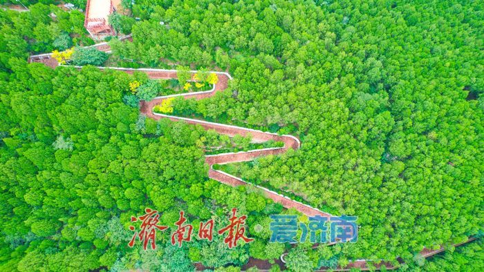 一年四季 泉在济南丨济南万灵山公园:城市中的生态休闲新地标