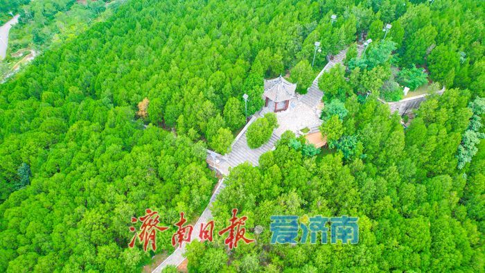 一年四季 泉在济南丨济南万灵山公园:城市中的生态休闲新地标