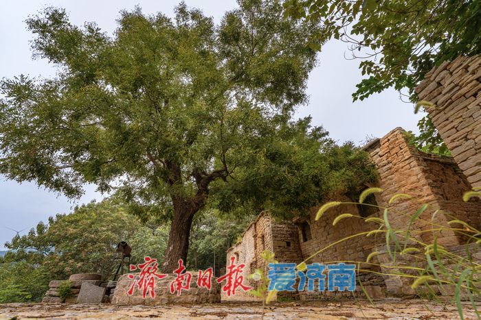 一年四季 泉在济南丨济南长清方峪古村:岁月深处的历史记忆