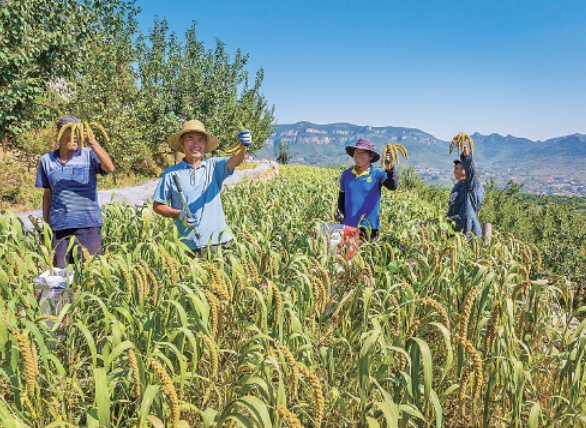 中秋+国庆双节buff 金秋来济南打开避世小众玩法