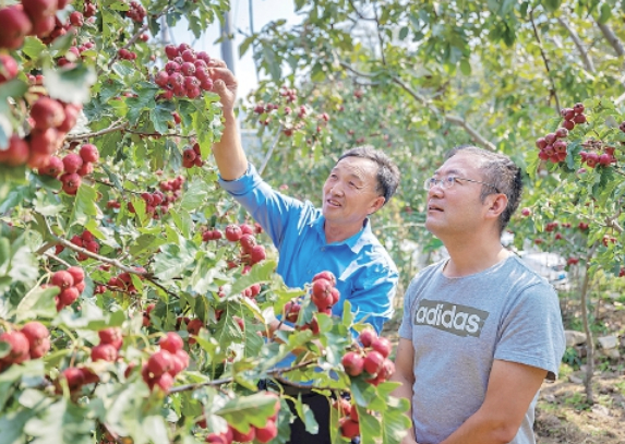 中秋+国庆双节buff 金秋来济南打开避世小众玩法