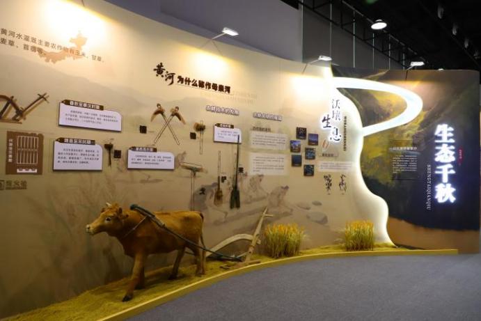 美好夜色 妙趣科学！山东省科技馆“科学之夜”活动来啦！