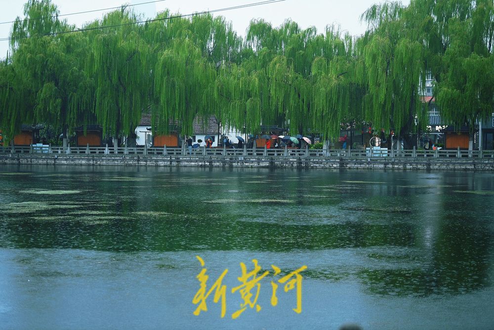 漫游泉城老街巷 秋雨蒙蒙别有韵味  