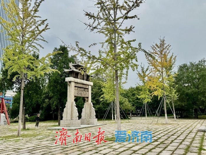 初秋济南兴福寺:银杏撒金映古建 绘就城市诗意画卷