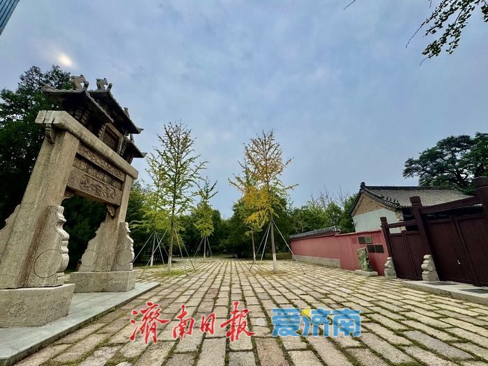 初秋济南兴福寺:银杏撒金映古建 绘就城市诗意画卷