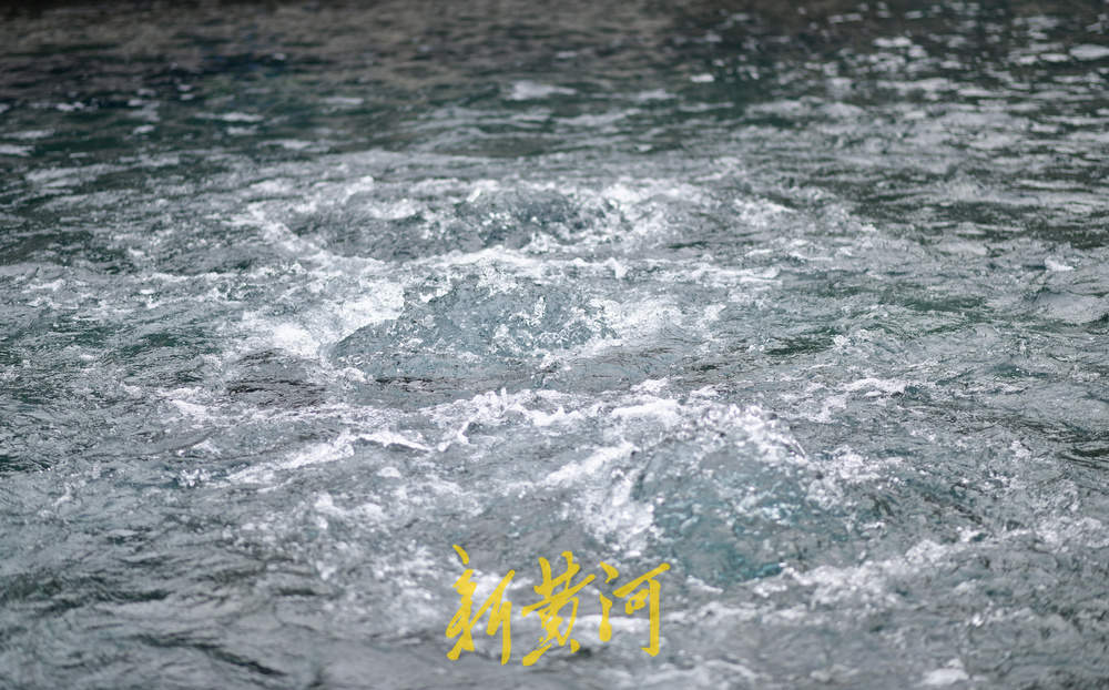 秋雨频顾润泉城 趵突泉水位达29.62米